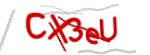 Enter the character string shown in the picture