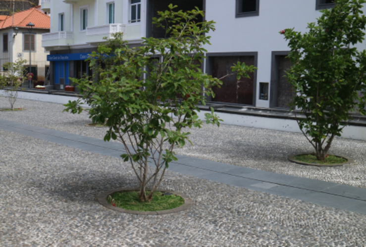Ribeira Baixa  1 
