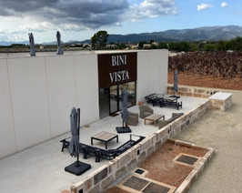 ACO Engineering - BiniVista