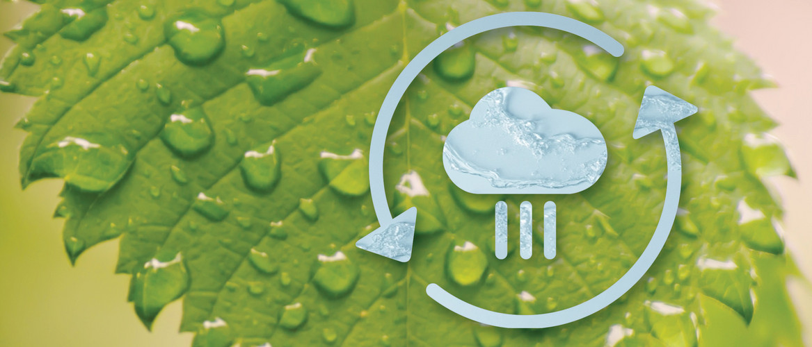 ACO GRUPO IBERIA D-PATTERN