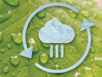 Visual,  ACO. we care for water,  Blatt,  Grün,  Leaf,  Leaves,  Nachhaltigkeit,  Recycling,  Sustainability,  Think susDRAINable,  Tropfen,  Umwelt,  Visual,  WaterCycle,  Zukunft,  drop,  drops,  environment,  green,  image,  image brochure,  nachhaltig,  recyclable,  responsibility,  susDRAINable,  sustainable,  was tut ACO, Visual,  ACO. we care for water,  Blatt,  Grün,  Leaf,  Leaves,  Nachhaltigkeit,  Recycling,  Sustainability,  Think susDRAINable,  Tropfen,  Umwelt,  Visual,  WaterCycle,  Zukunft,  drop,  drops,  environment,  green,  image,  image brochure,  nachhaltig,  recyclable,  responsibility,  susDRAINable,  sustainable,  was tut ACO