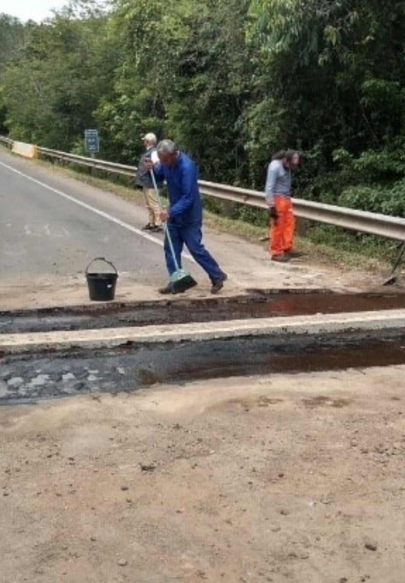 Cruce de fauna en la autopista Rota do Sol, Itatí, Rio Grande do Sul, Brasil