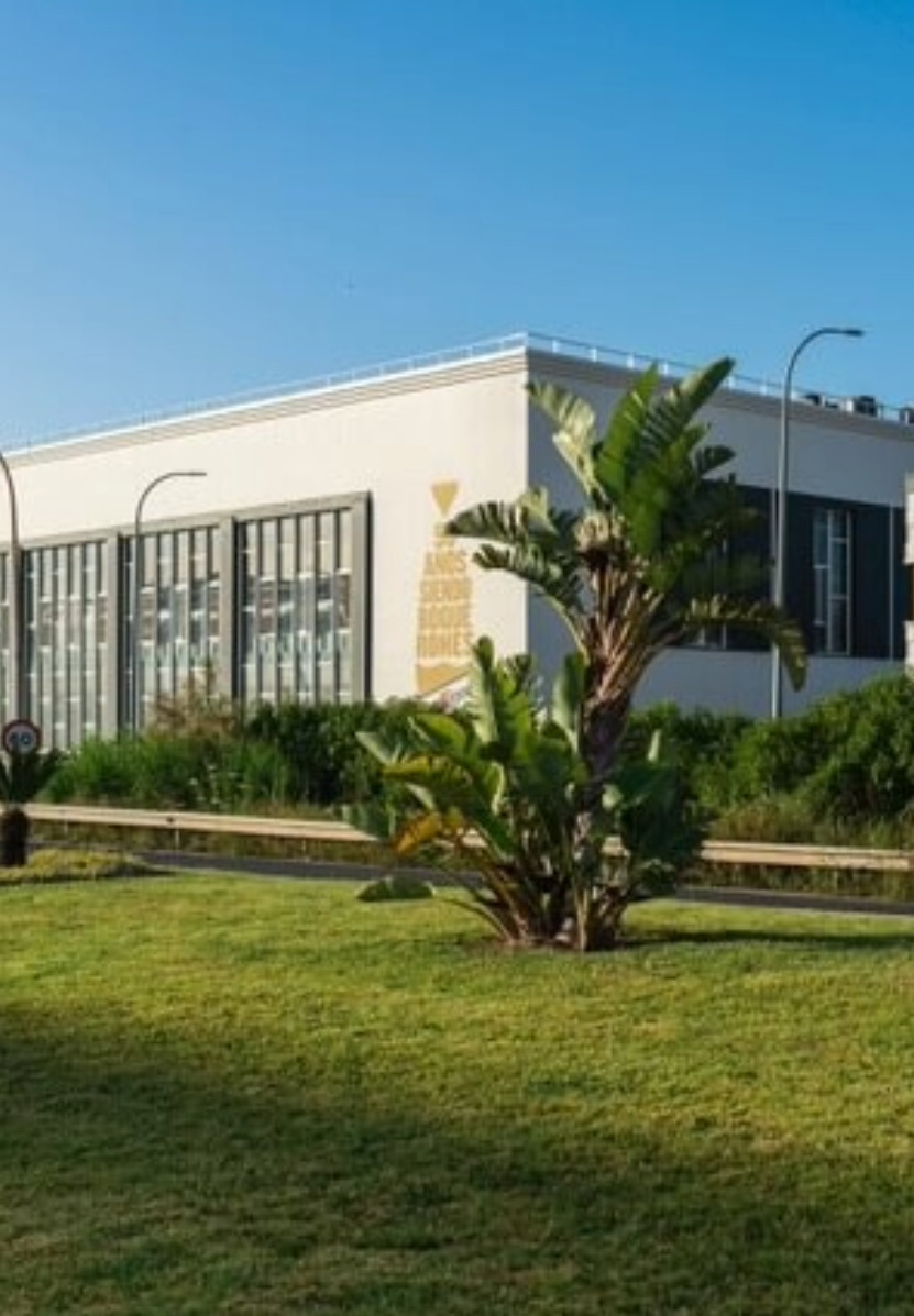 Fábrica de San Miguel, Málaga