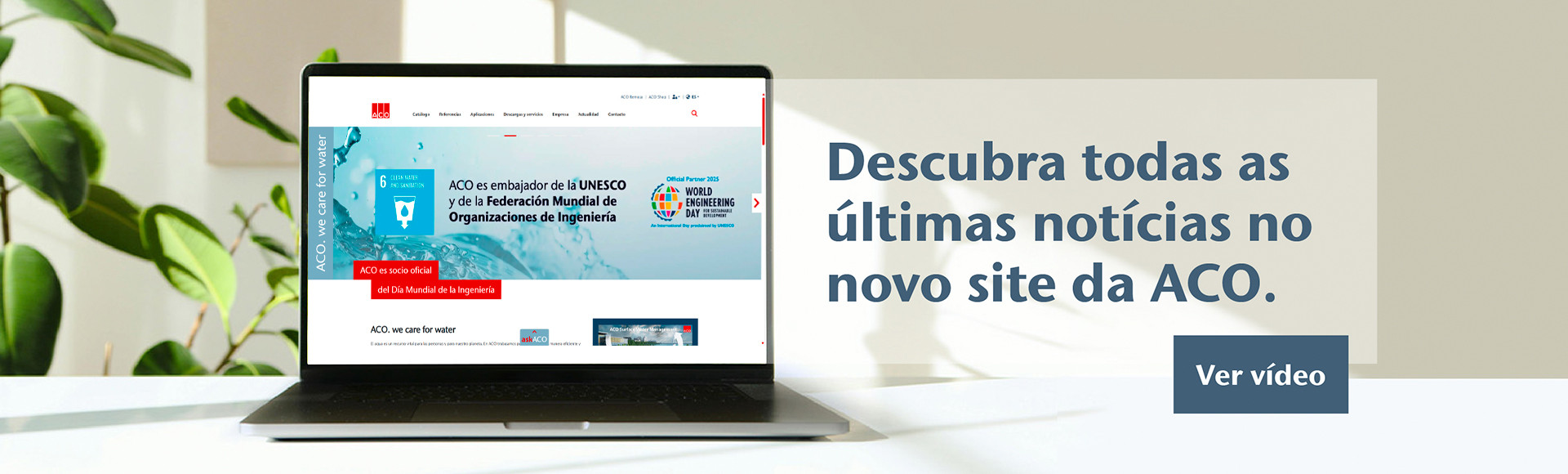 Lançamento novo site