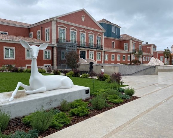 Hotel Museu Palácio Condes Da Ribeira Grande  3 