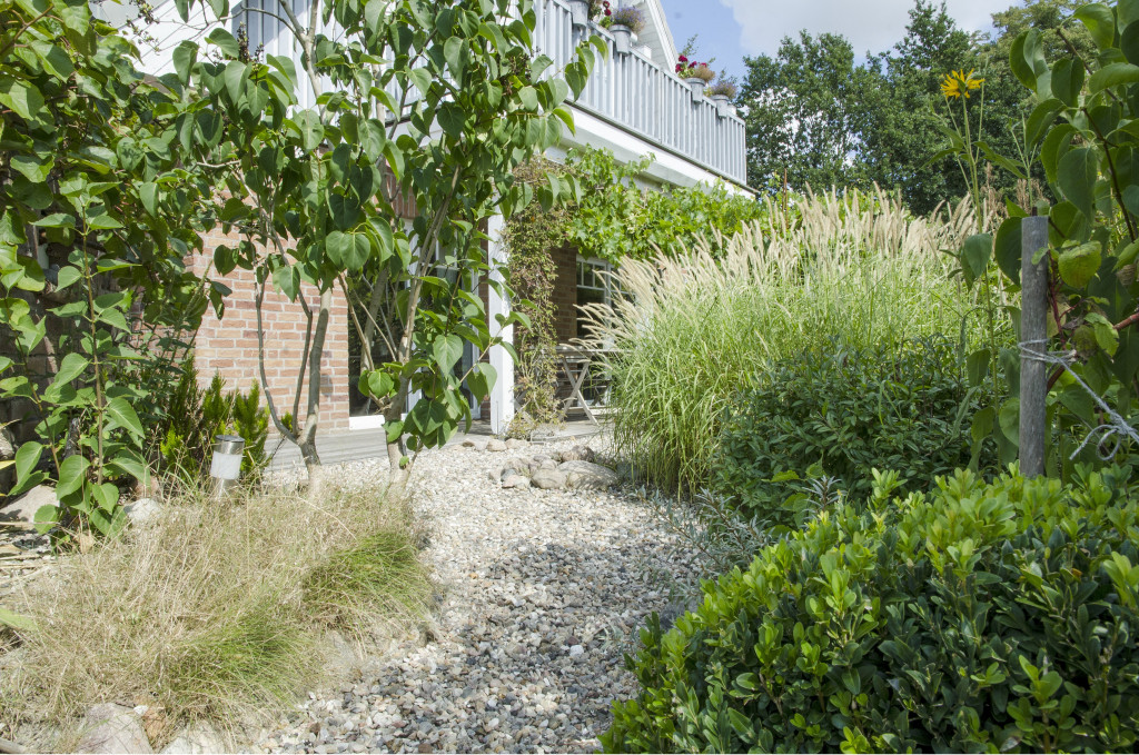 Imagem de Casas - Jardim