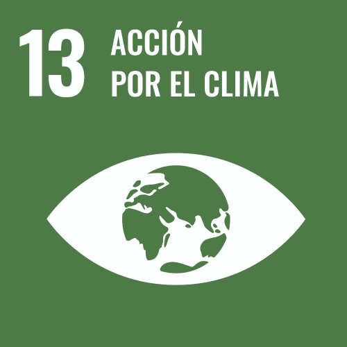 S SDG PRINT-13