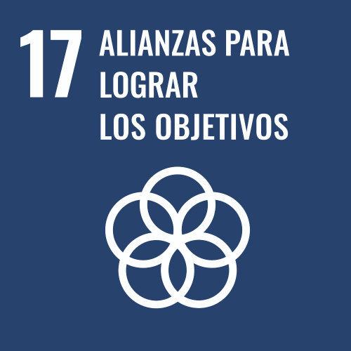 S SDG PRINT-17