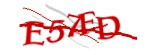 Enter the character string shown in the picture