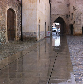 ACO en la plaza del Monasterio de Poblet