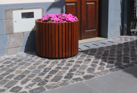 ACO - Ribeira Brava