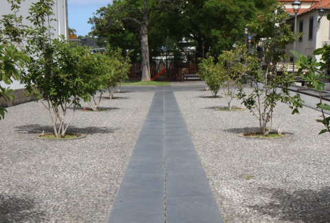ACO - Ribeira Brava