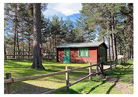 ACO Remosa - Campamento Juvenil Alto del León