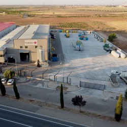 Planta de Remosa en Noblejas (Toledo)