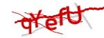 Enter the character string shown in the picture